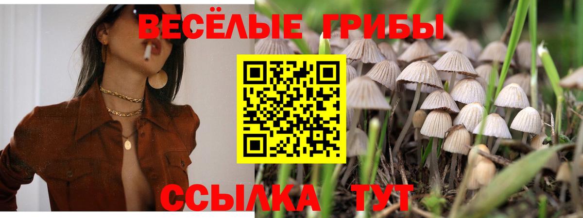 Галлюциногенные грибы мухоморы Кизилюрт
